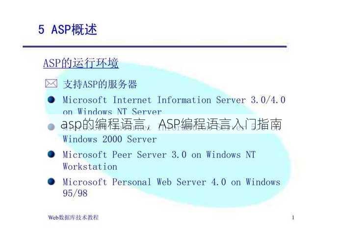 asp的编程语言