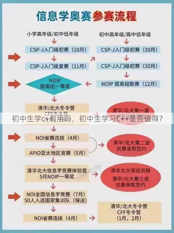 初中生学c+有用吗
