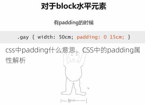 css中padding什么意思