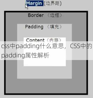 css中padding什么意思