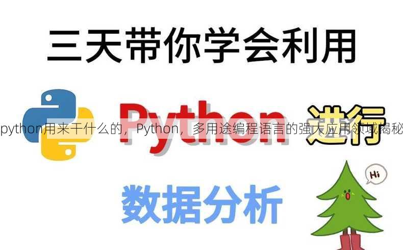 python用来干什么的