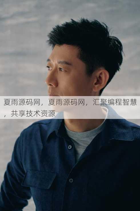 夏雨源码网