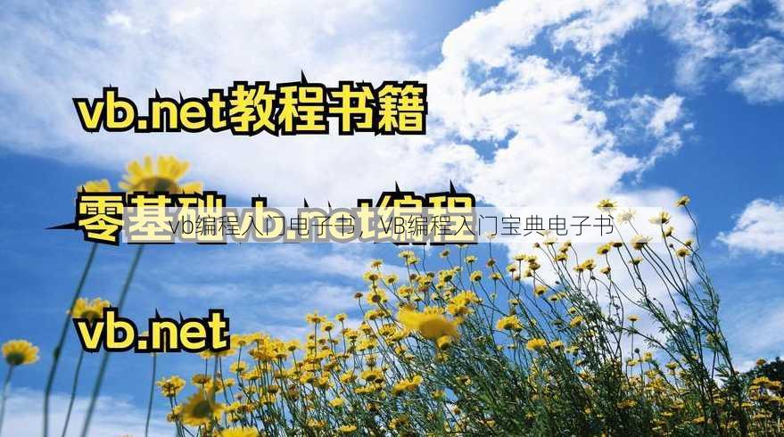 vb编程入门电子书