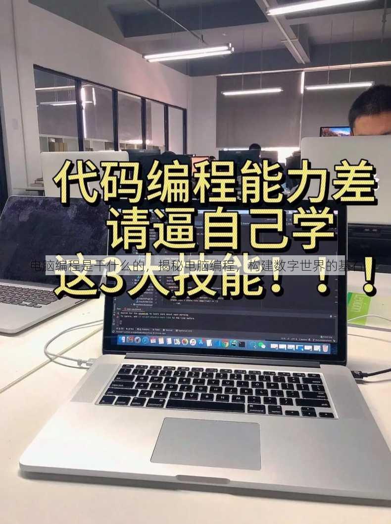 电脑编程是干什么的