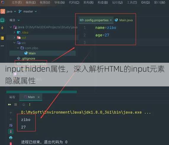 input hidden属性