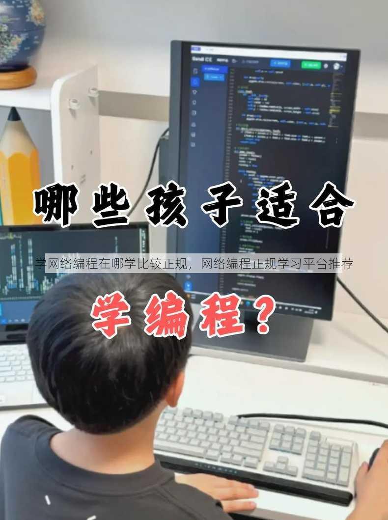 学网络编程在哪学比较正规