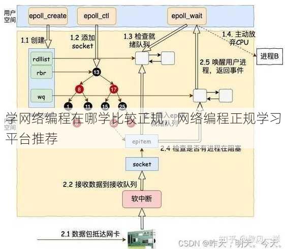 学网络编程在哪学比较正规