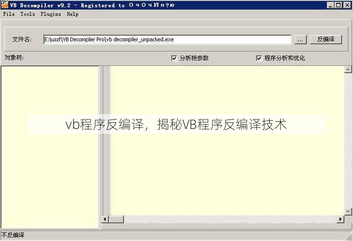 vb程序反编译