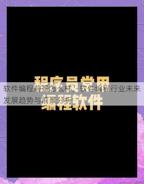 软件编程前景怎么样