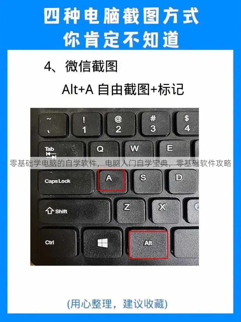 零基础学电脑的自学软件