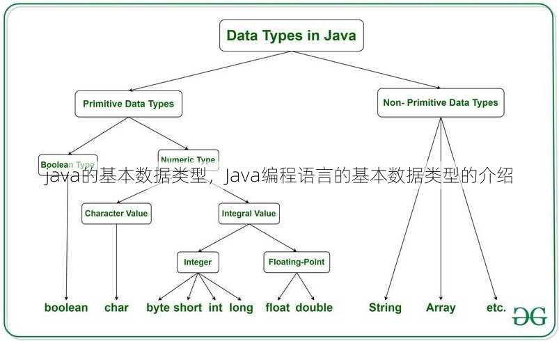 java的基本数据类型
