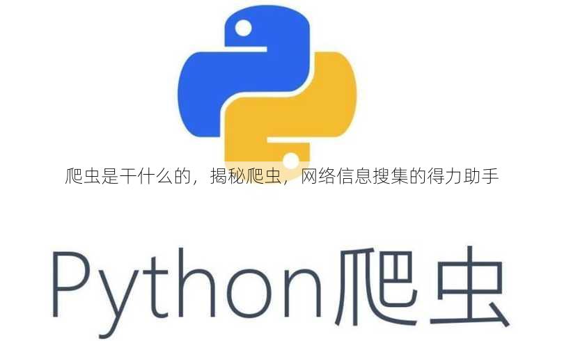 爬虫是干什么的