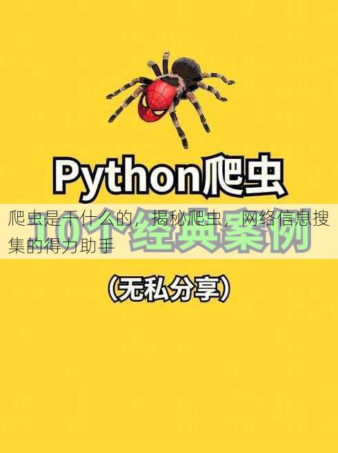 爬虫是干什么的