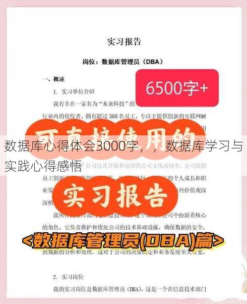 数据库心得体会3000字