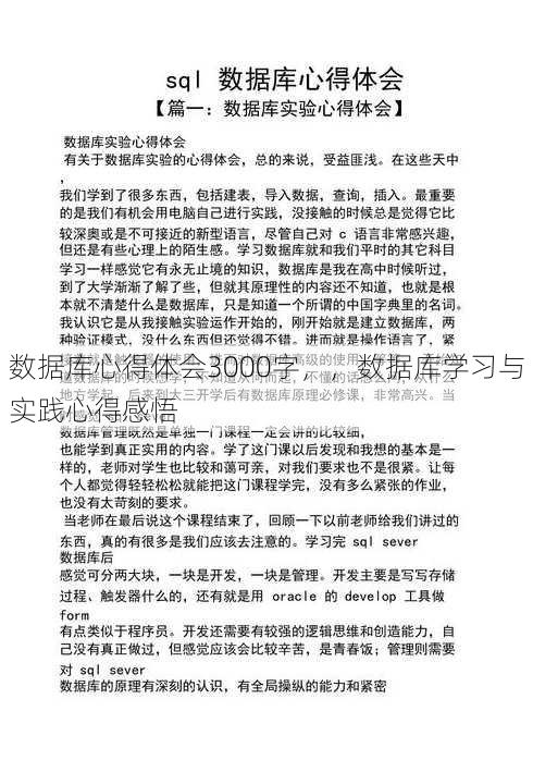 数据库心得体会3000字