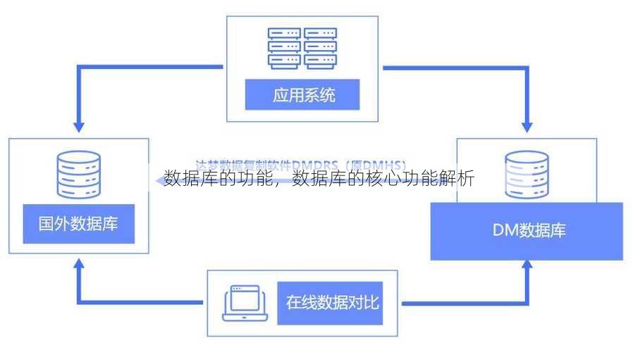 数据库的功能