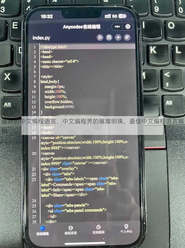 最好的中文编程语言
