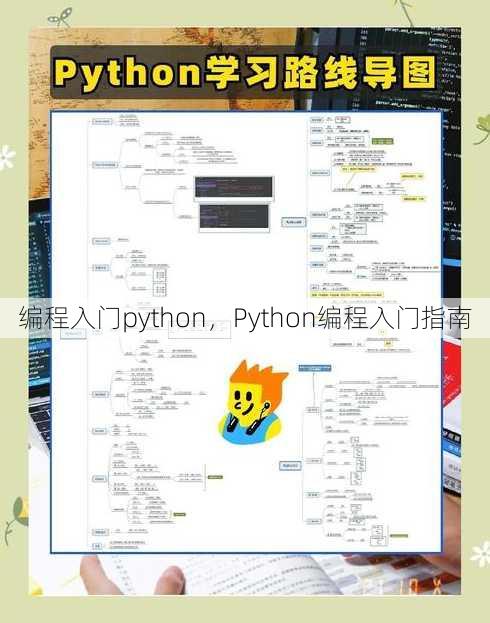 编程入门python