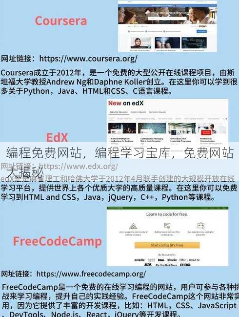 编程免费网站