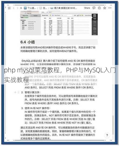 php mysql菜鸟教程