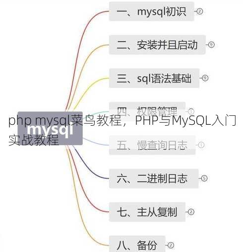 php mysql菜鸟教程