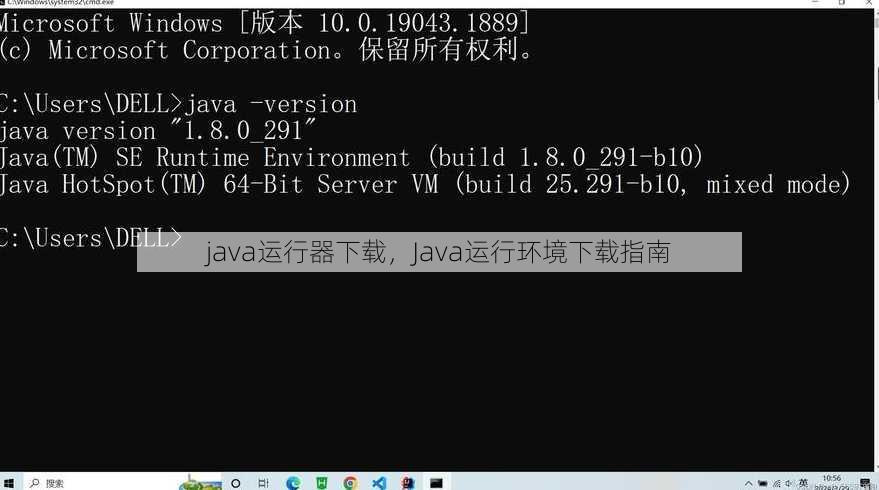 java运行器下载