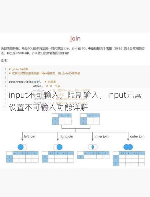 input不可输入