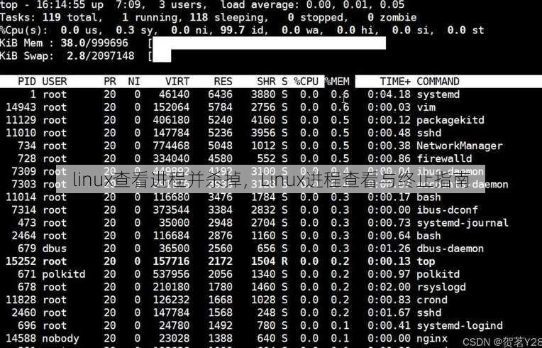 linux查看进程并杀掉
