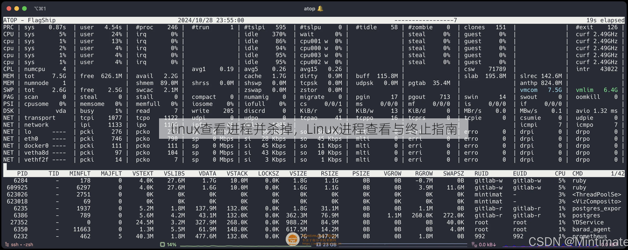 linux查看进程并杀掉
