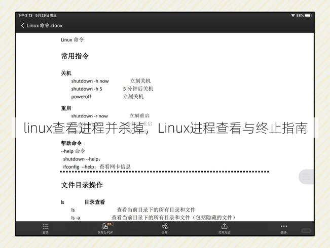linux查看进程并杀掉
