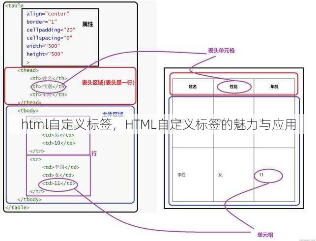 html自定义标签