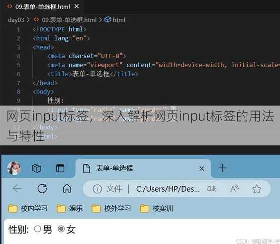 网页input标签
