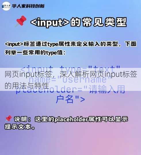 网页input标签