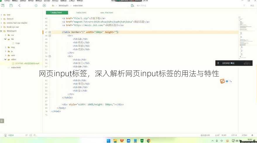 网页input标签