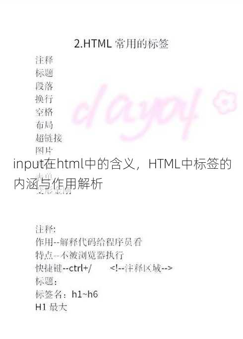 input在html中的含义