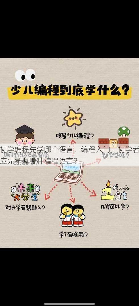 初学编程先学哪个语言