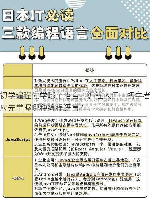 初学编程先学哪个语言