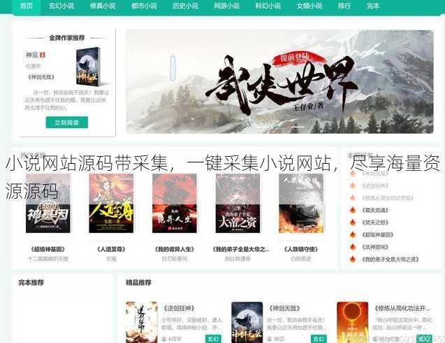 小说网站源码带采集