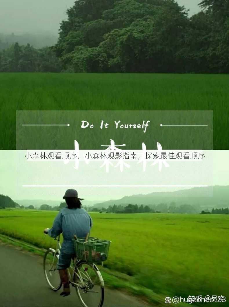 小森林观看顺序