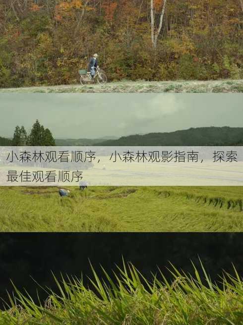 小森林观看顺序