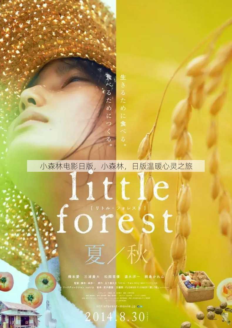 小森林电影日版