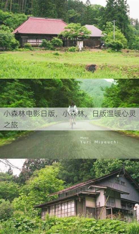 小森林电影日版