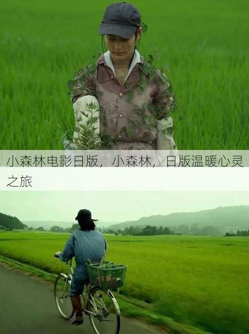 小森林电影日版