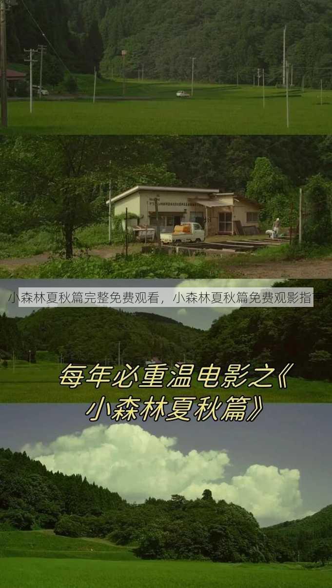 小森林夏秋篇完整免费观看