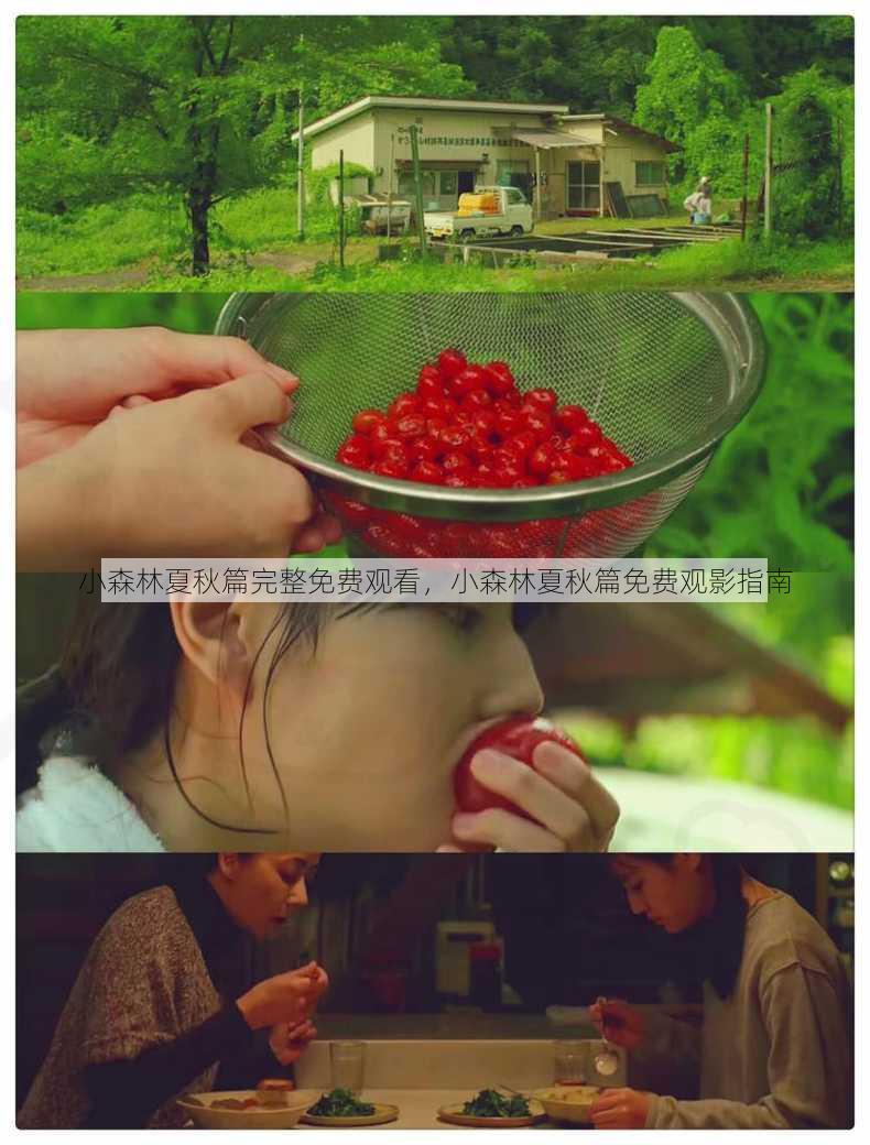 小森林夏秋篇完整免费观看