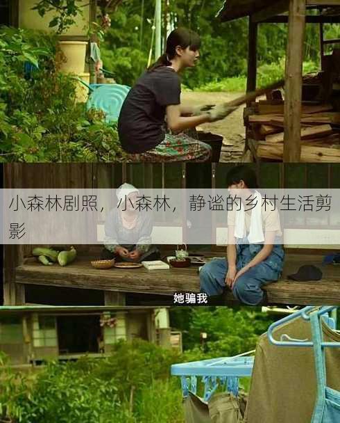 小森林剧照