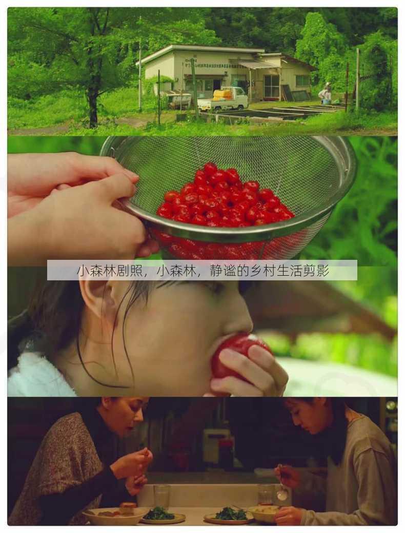 小森林剧照