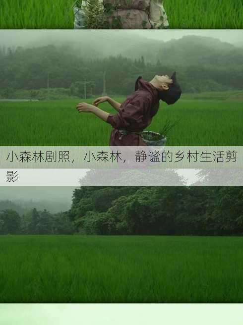 小森林剧照