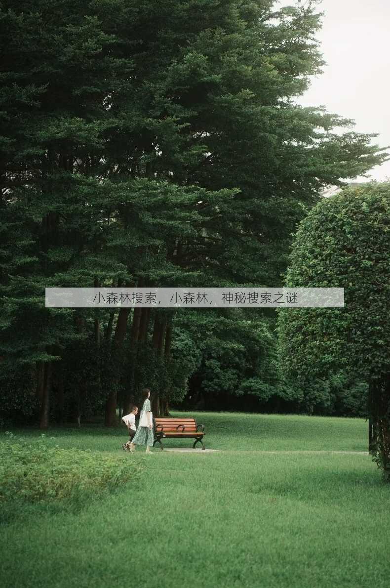 小森林搜索