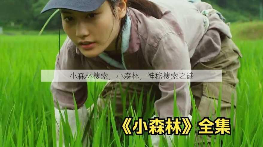 小森林搜索